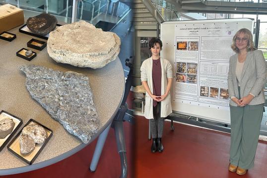 25岁的凯尔西·恩格尔克和26岁的玛雅·鲍克带着一些来自伯洛伊特学院自然历史收藏的化石标本.
