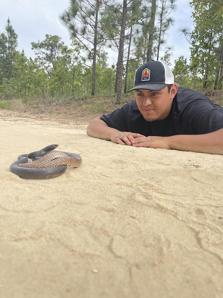 以前的学生趴在地上检查沙子里的蛇