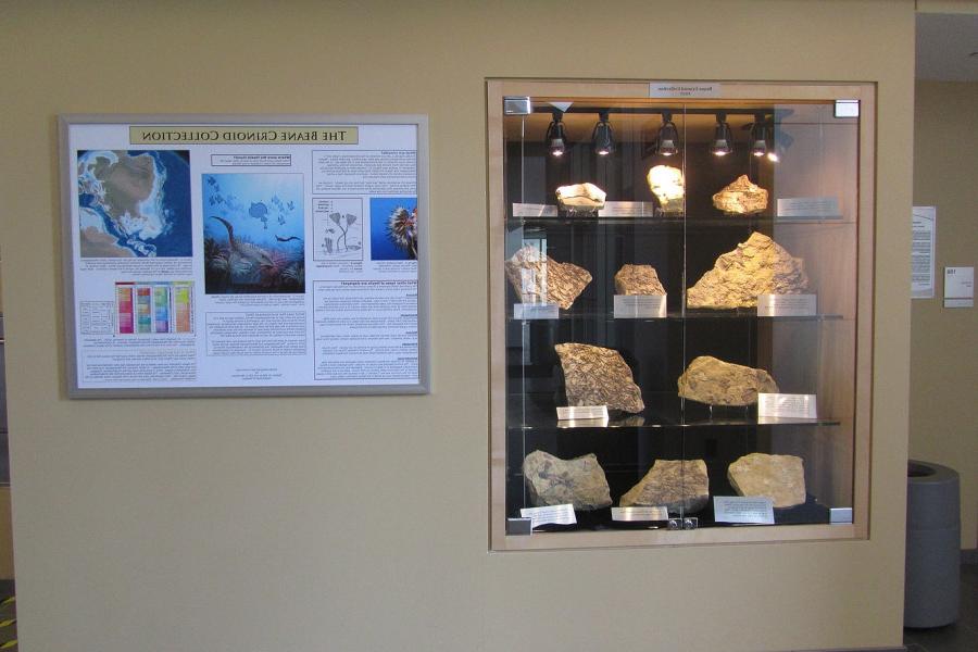 桑格科学中心的几个比恩·克里诺德系列陈列柜之一.