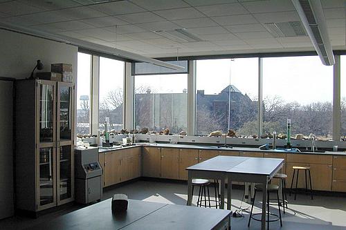 湿实验室用于沉积学、水文地质学和地貌学课程.