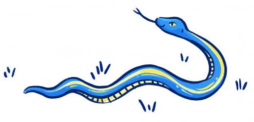 An illustration of a snake turned around, tongue out.